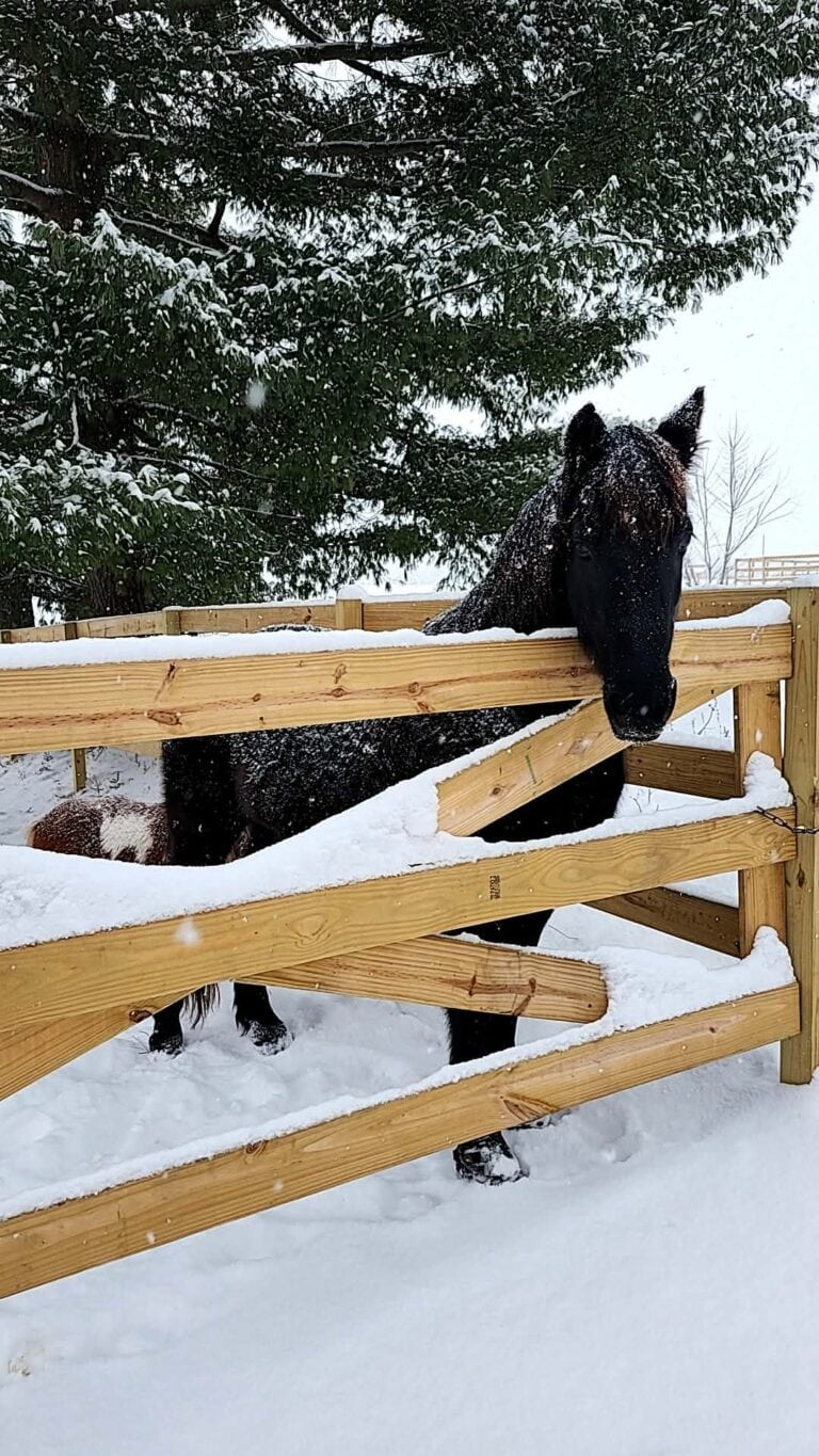 Country Club Stables LLC