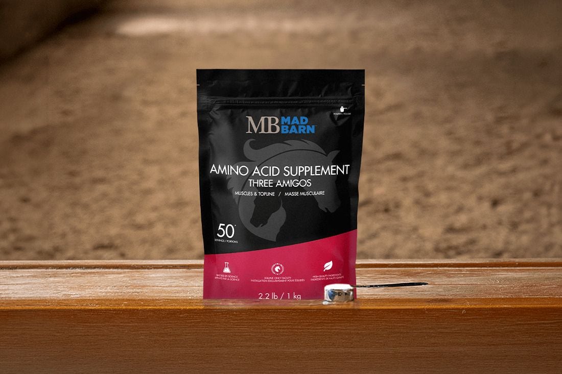 What’s the Best Topline Supplement for Horses?