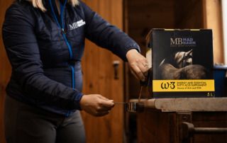best-weight-gain-supplement-for-horses