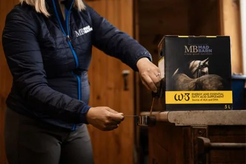 best-weight-gain-supplement-for-horses