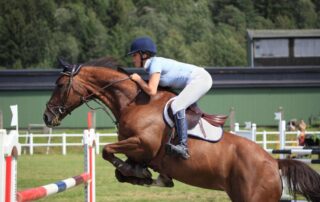 conditioning-programs-for-jumping-horses