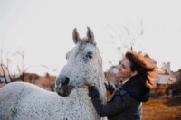 Digoxin for Horses: Uses, Side Effects & Status in Competition