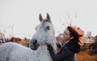digoxin-for-horses