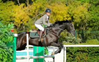 flatwork-guide-for-jumping-horses