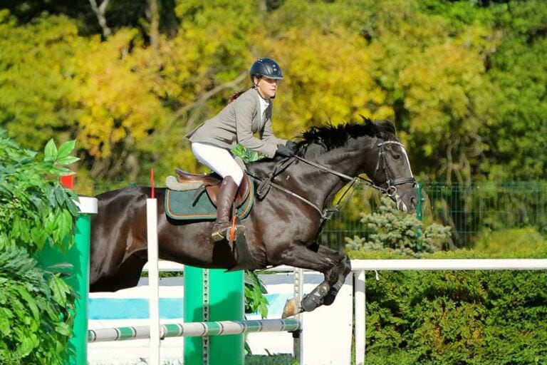 flatwork-guide-for-jumping-horses