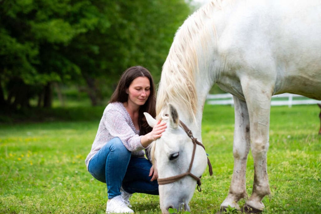 Ulcers vs. Hindgut Acidosis in Horses: Signs, Causes & Treatment Differences