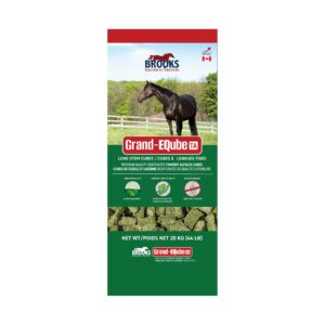 Grand-EQube (Brooks)