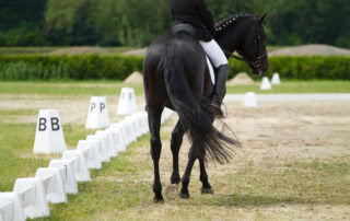 guide-to-dressage-arena-letters