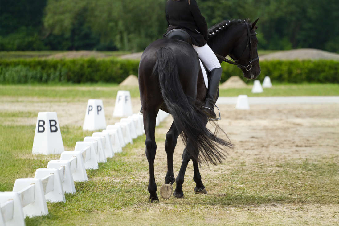 Understanding Dressage Letters: Arena Layout, Usage & Memorization Tips