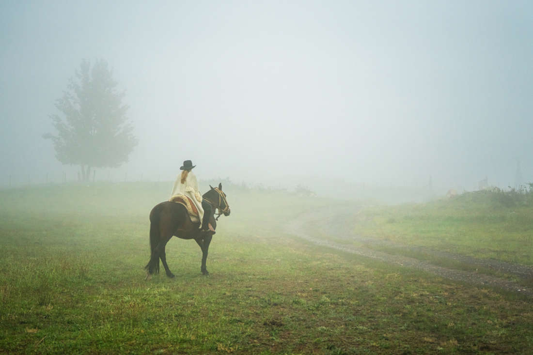 Horse Superstitions: Common Barn Beliefs, Folklore & Traditions