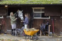 Keeping Your Horse at Home: Costs, Daily Care & Property Requirements