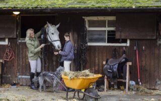 keeping-horses-at-home