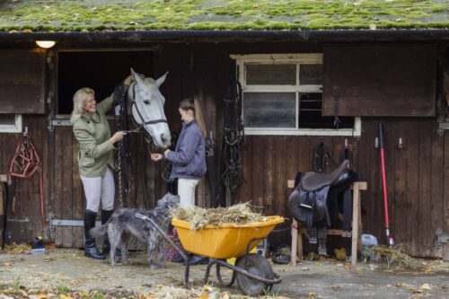 keeping-horses-at-home