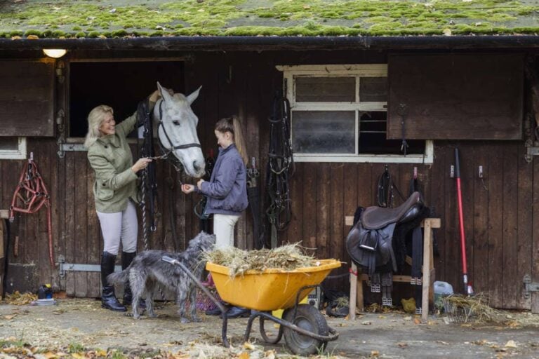 keeping-horses-at-home
