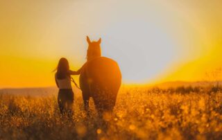 keeping-lone-horses