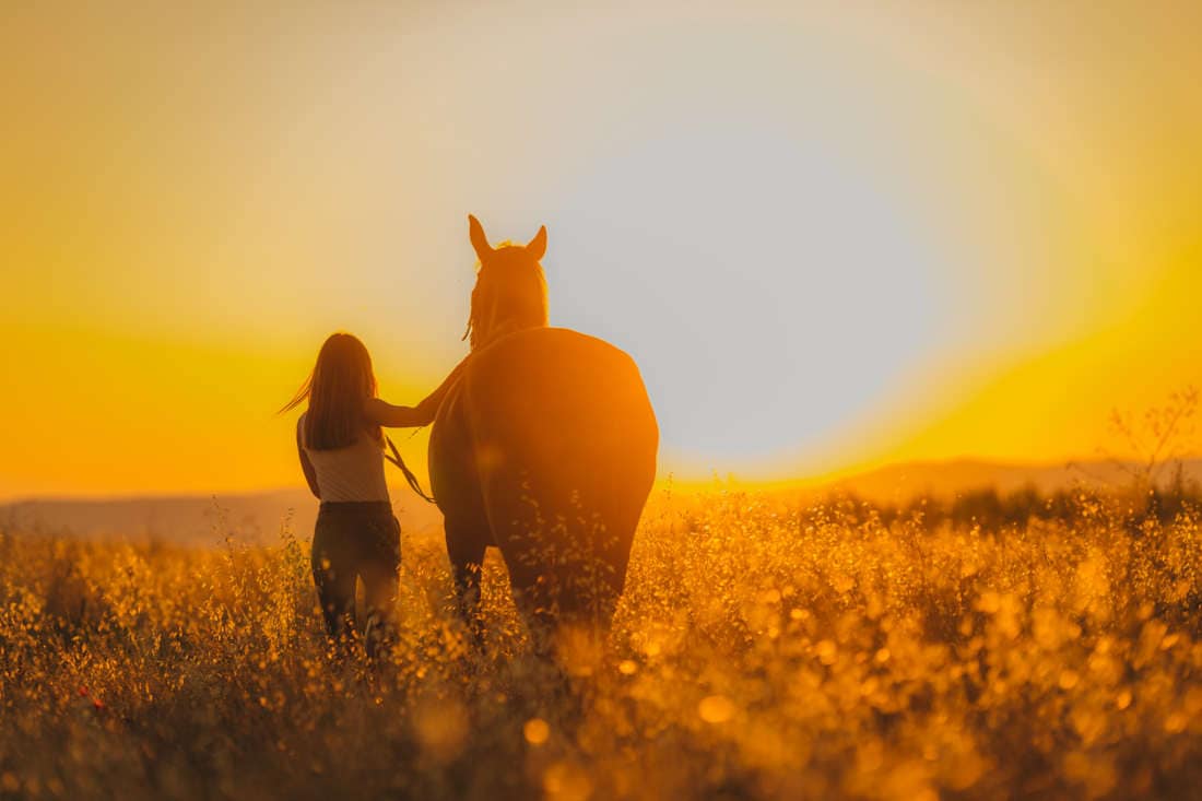 Can Horses Live Alone? Effects of Isolation & How to Support Solitary Horses