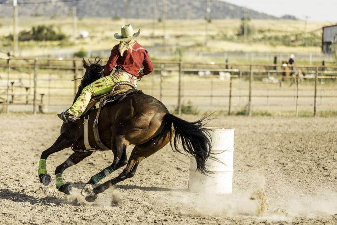 Performance Plateaus in Horses: Assessment, Management & Training