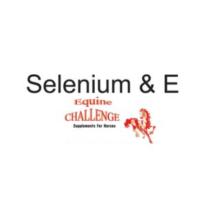 Selenium & E (Equine Challenge)