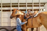 Incoordination (Ataxia) in Horses: Related Signs, Causes & Management