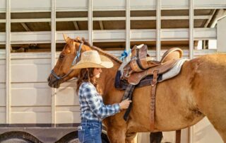 ataxia-in-horses