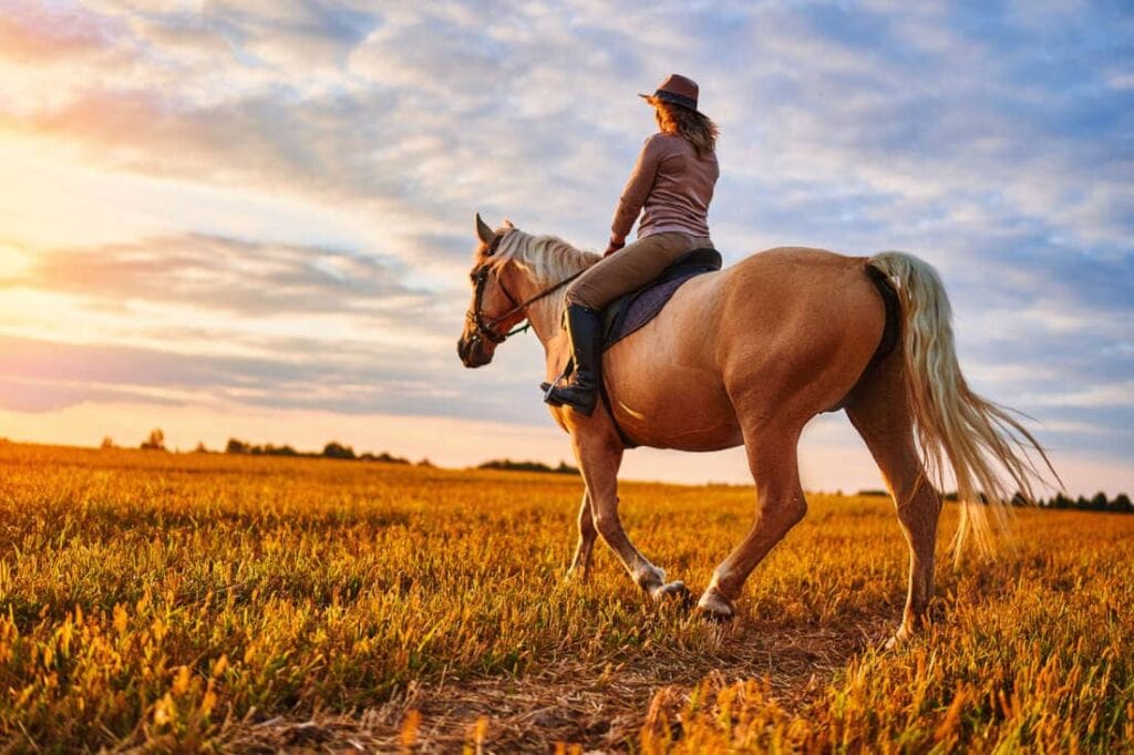 Autumn Crocus (Meadow Saffron) Toxicity in Horses: Signs, Risks & Emergency Care