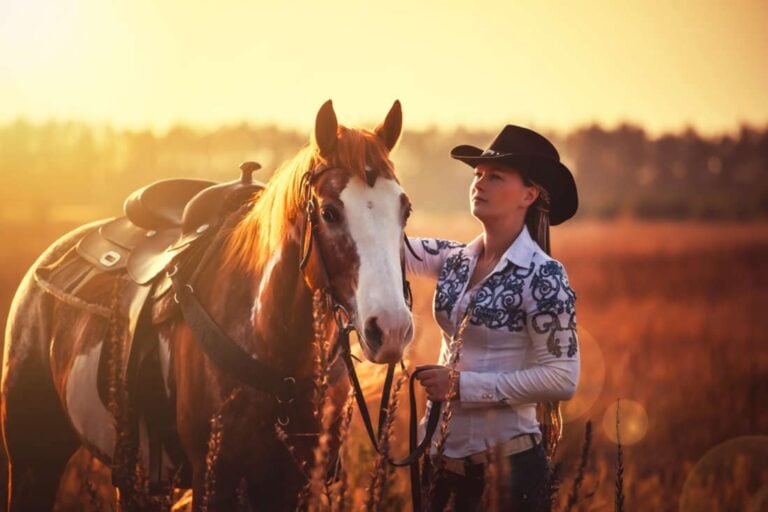 avocado poisoning in horses