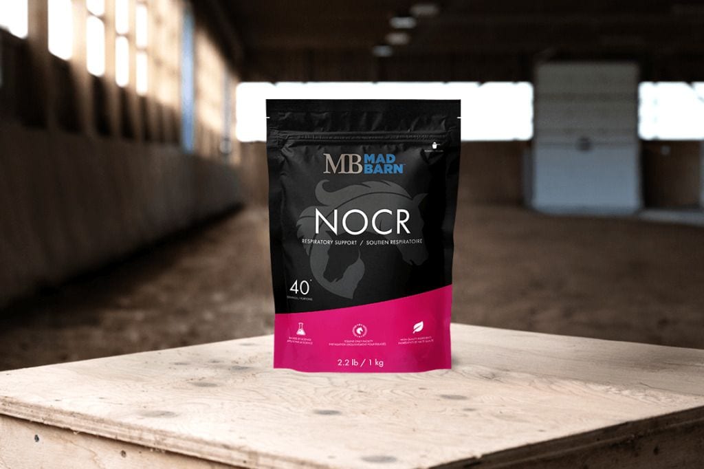 What is the Best Respiratory Supplement for Horses?