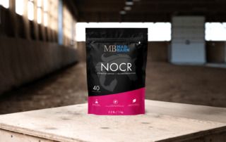 best-respiratory-supplement-for-horses