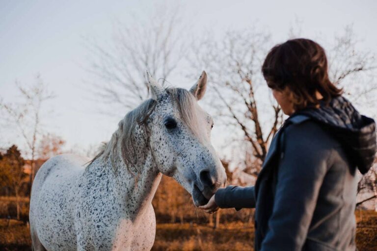 black-locust-poisoning-in-horses