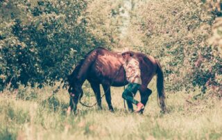 cannabis-poisoining-in-horses