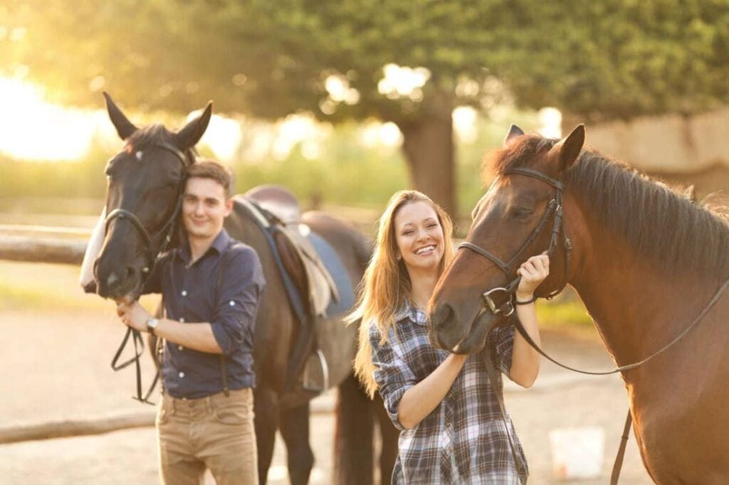 Iron Zinc Copper Ratio in Horses: Evaluating Trace Mineral Balance