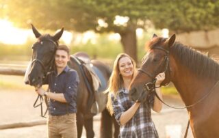 copper-iron-and-phosphorus-ratios-in-the-equine-diet