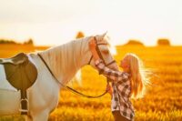 Elbow Lameness in Horses: Anatomy, Disorders, Causes & Treatment