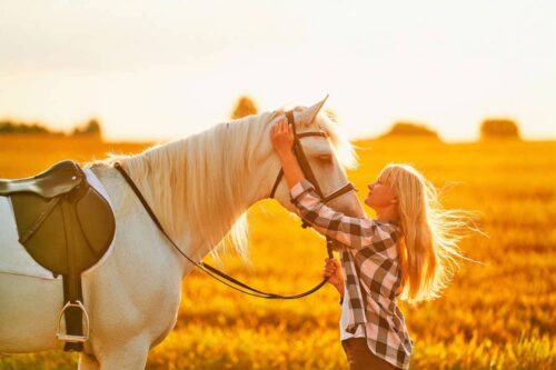 elbow-anatomy-and-lameness-in-horses