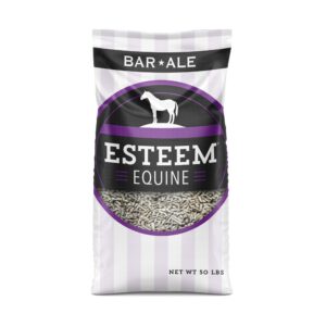 Esteem Barn Blend (Bar Ale)