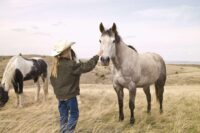 Bad Breath (Halitosis) in Horses: Causes, Related Symptoms & Treatment