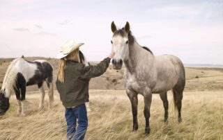 halitosis-in-horses