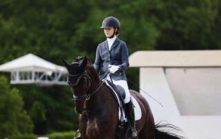 hot-to-sit-the-trot-in-dressage