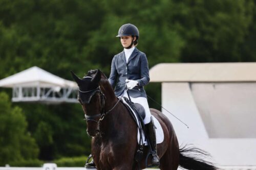 hot-to-sit-the-trot-in-dressage