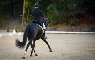 how-to-ride-a-half-pass-in-dressage