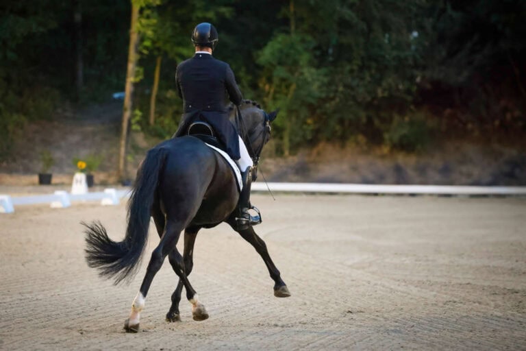 how-to-ride-a-half-pass-in-dressage