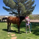 | Mad Barn USA