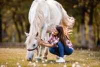 Leishmaniasis in Horses: Signs, Causes & Treatment