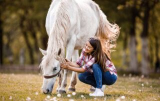 leishmaniasis-in-horses