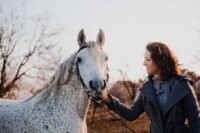 Malignant Hyperthermia in Horses: Signs, Risk Factors & Treatment