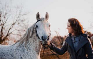 malignant-hyperthermia-in-horses