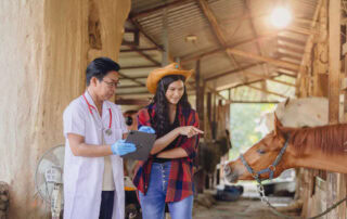 managing-horse-with-tracheostomy
