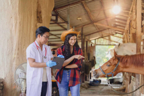 managing-horse-with-tracheostomy