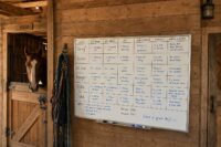 Organizing Horse Feed Boards: Ensuring Efficient & Accurate Barn Operations