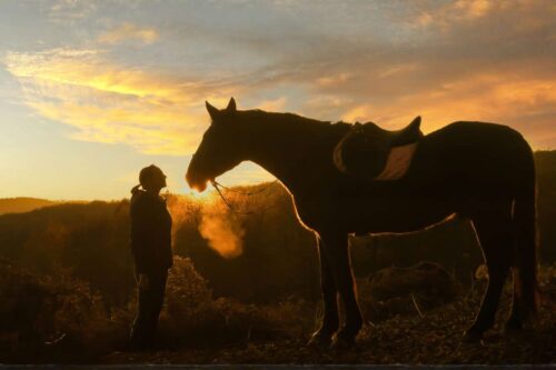 respiratory-noises-in-horses